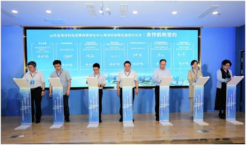 J9集团-国际站最新官网