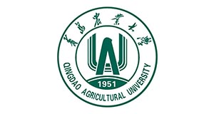 J9集团-国际站最新官网