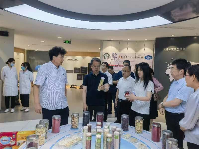 J9集团-国际站最新官网